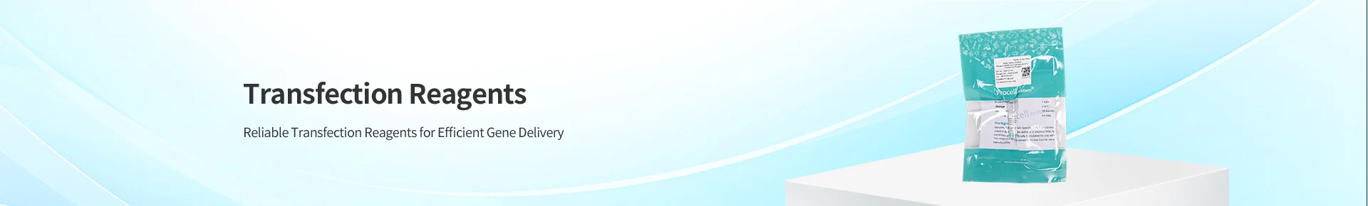 Transfection Reagents